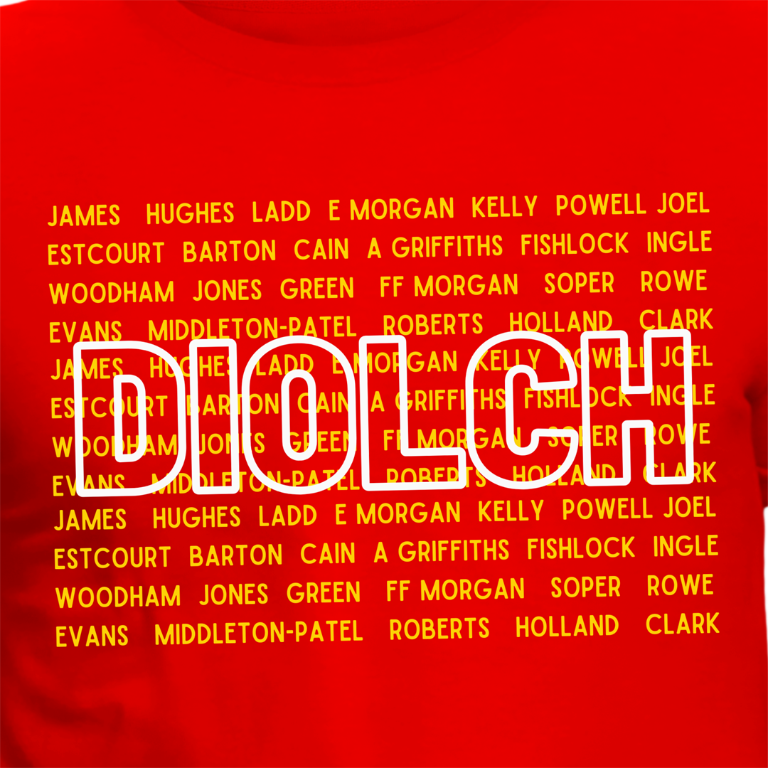 DIOLCH CYMRU SWISSORY MAKERS 25 - Adult T-Shirt