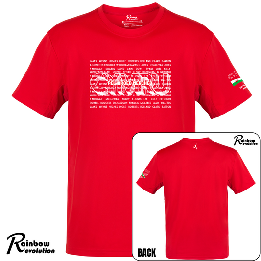 KIDS (3-15 YEARS) TEAM CYMRU WOMEN Football T-Shirt