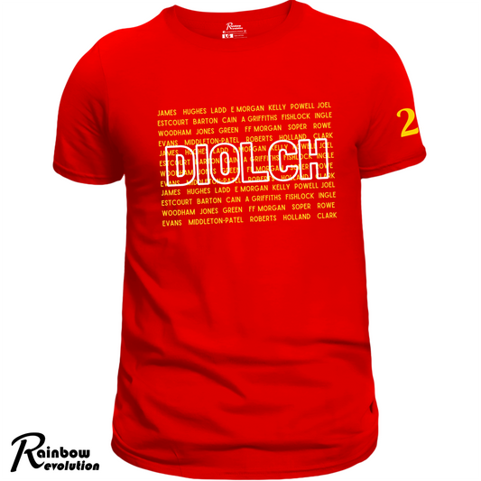 DIOLCH CYMRU SWISSORY MAKERS 25 - Adult T-Shirt