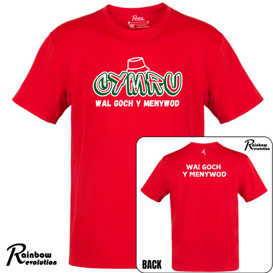 KIDS (3-15 YEARS) CYMRU WAL GOCH Y MENYWOD Football T-Shirt